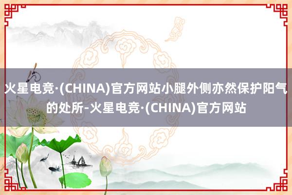 火星电竞·(CHINA)官方网站小腿外侧亦然保护阳气的处所-火星电竞·(CHINA)官方网站